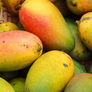 Mango Season in Brasilia