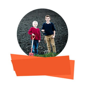 Highlights Star (1).png