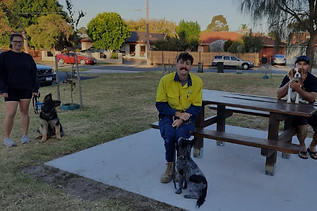 carrot cake slice (28)_edited.jpg