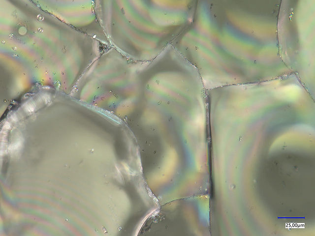 1000x Granulometry