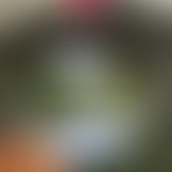 一位精神科醫生正在傾聽患者講述如何應對外界過多聲音的困擾,提供專業的心理支持與引導。