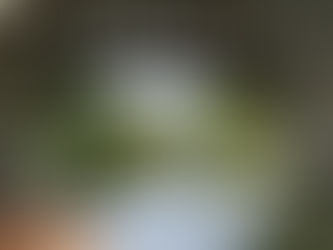 一位精神科醫生正在傾聽患者講述如何應對外界過多聲音的困擾，提供專業的心理支持與引導。