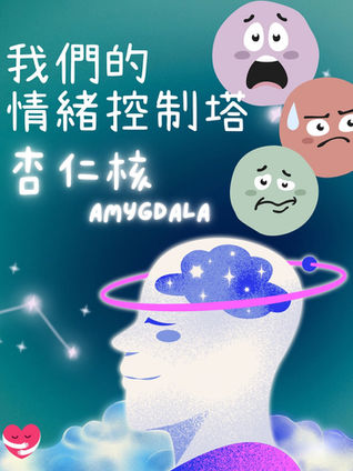一張清晰的大腦解剖圖,特別標示出杏仁核的位置,旁邊有一位精神科醫生正在溫和地講解情緒與大腦的關係。