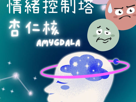 一張清晰的大腦解剖圖,特別標示出杏仁核的位置,旁邊有一位精神科醫生正在溫和地講解情緒與大腦的關係。