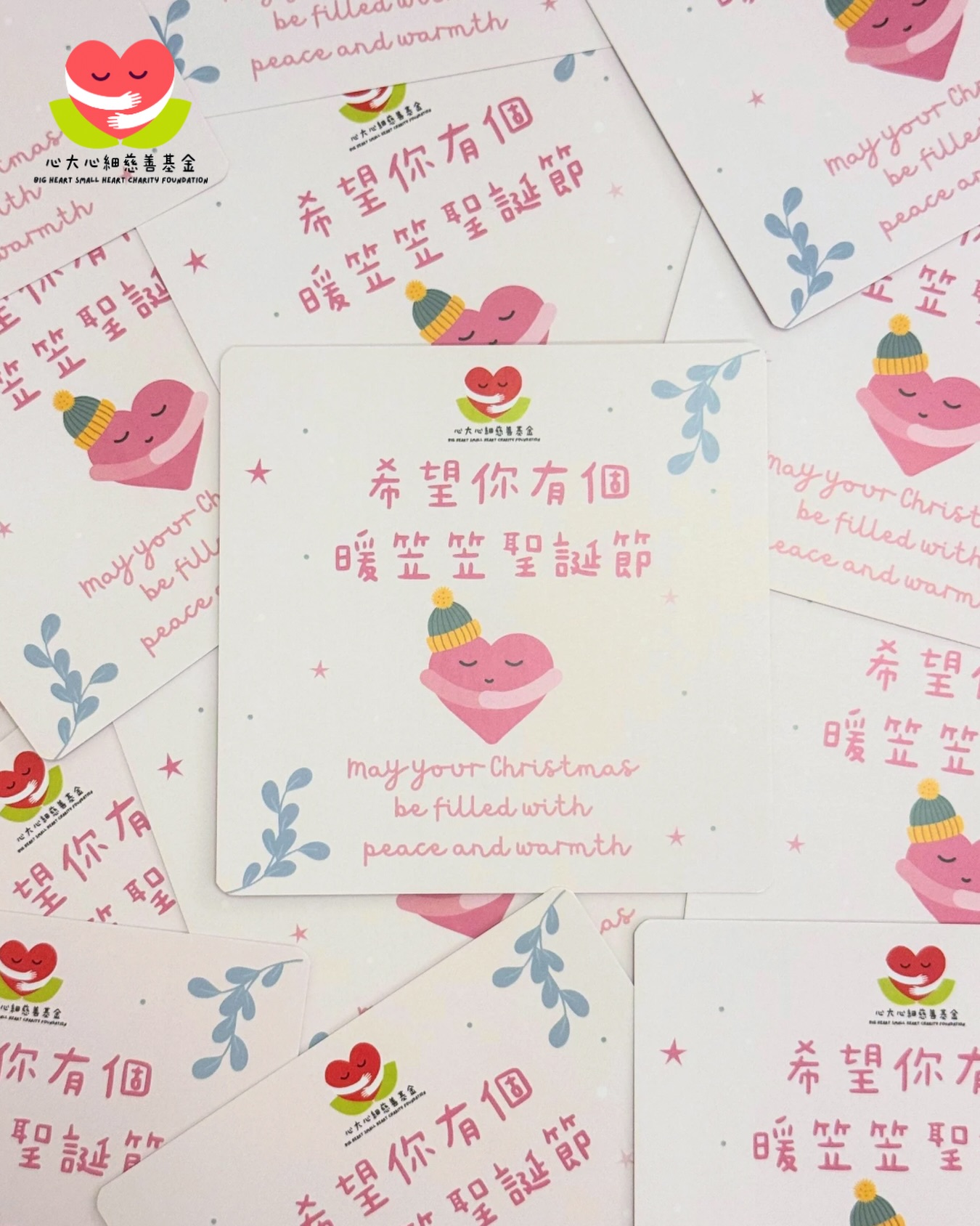 心大心細慈善基金的創辦人，精神科醫生黎智麟醫生與陸靜思醫生，在聖誕佳節為大家送上溫暖與平安的祝福，期望這份心意能為您的假期帶來喜悅與和諧。