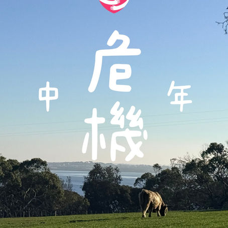 一位精神科醫生在諮詢室中,溫和地聆聽一位中年患者講述其人生迷茫與焦慮,背景是溫暖的燈光和舒適的環境。