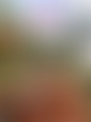 精神科醫生透過待辦清單與評估資料,說明拖延不等於 ADHD,並提醒了解背後原因。