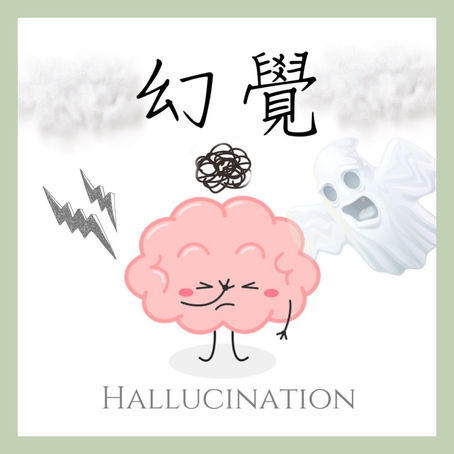 幻覺 Hallucination