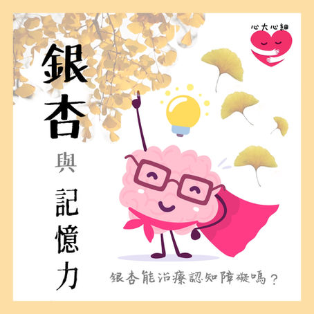 🧠銀杏 與 記憶力🧠