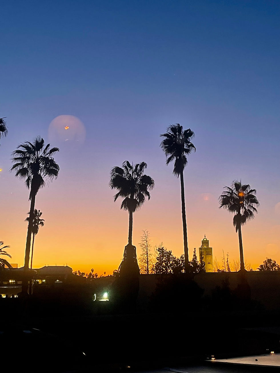 Sunset with palm trees from a rooftop bar in Marrakech