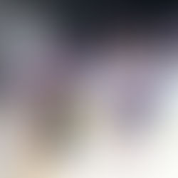 Amerks fall short against Comets