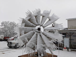 Finding Beauty in Everything