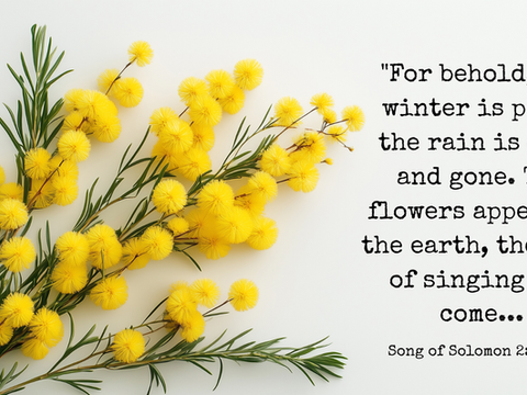 Happy First Day of Spring: Embracing New Beginnings