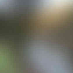 The river by the Canson paper mill