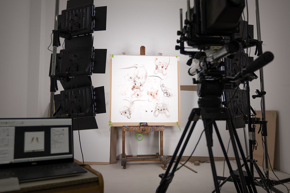 Photographing Artwork for Dave White