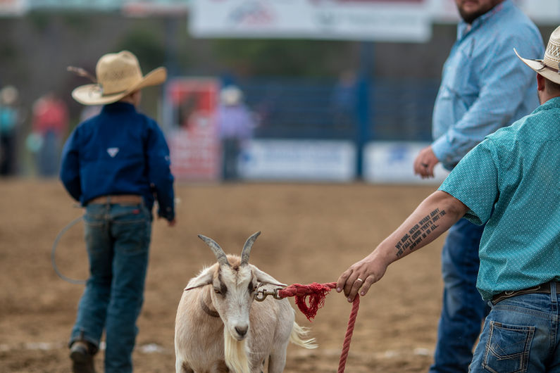 20220924_Holbrooks_BensonRodeo_Selects-61.jpg