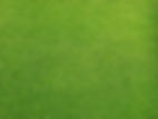Grassy Field