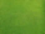 Grassy Field