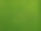 Grassy Field