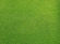 Grassy Field