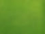 Grassy Field