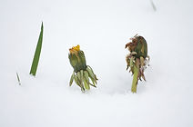 IMG_2561.jpg