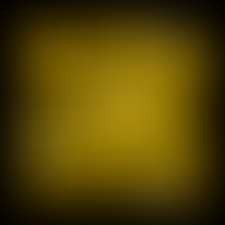 Ball und Balance: Podiumsdiskussion mit WiTr