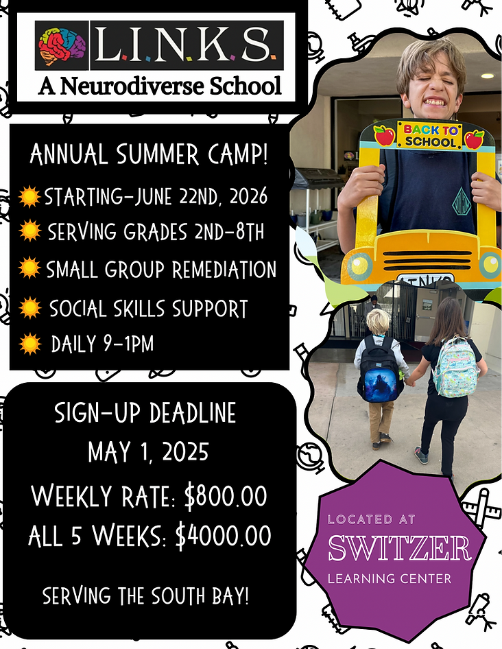 LINKS CAMP FLYER 2.PNG