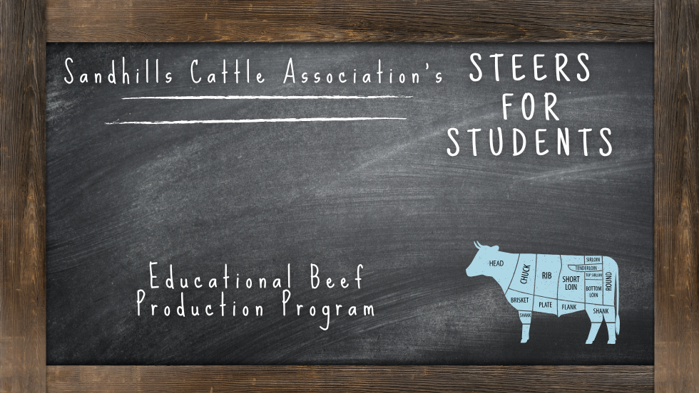Steers for Students