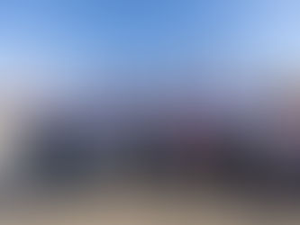 CLARO FORTALECE SU COMPROMISO AMBIENTAL CON LA LIBERACIÓN DE MÁS DE 300 TORTUGAS GOLFINAS