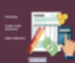 Factoring Trade Credit Insurance Debt Collections