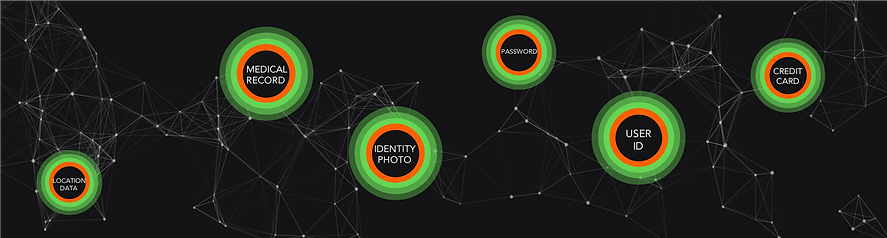 Smart Protected Personal Data Network 2.