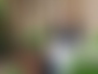 How To Nurture Your Energy For Extraordinary