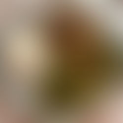 High-Protein Homemade Seitan (Easy Vegan Meat Recipe)