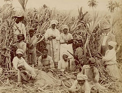 Le béké et ses coupeurs de cannes à la Jamaïque