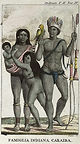 Jean-Gabriel Stedman, Une famille des indigènes kalinagos, surnommés Caraïbes, 1796