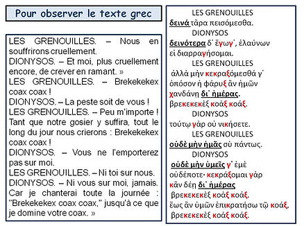 Grenouilles-Texte.jpg