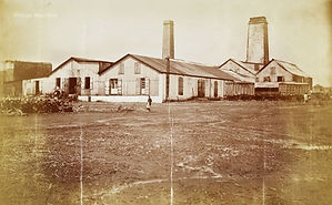 La propriété sucrière « Alma » en 1890