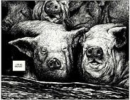 Manu Larcenet, Le Rapport de Brodeck, tome 1, 2015