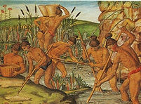 Théodore de Bry, Récolte dans une rizière avec des bambous, 1585. Gravure