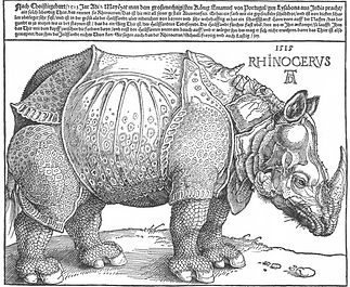 Albrecht Dürer, Rhinocerus, 1515. Dessin à la plume, 23,5 x 29,8. British Library, Londres