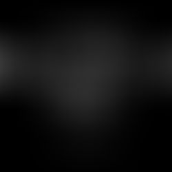 25.11.04 今日のふもとようちえん