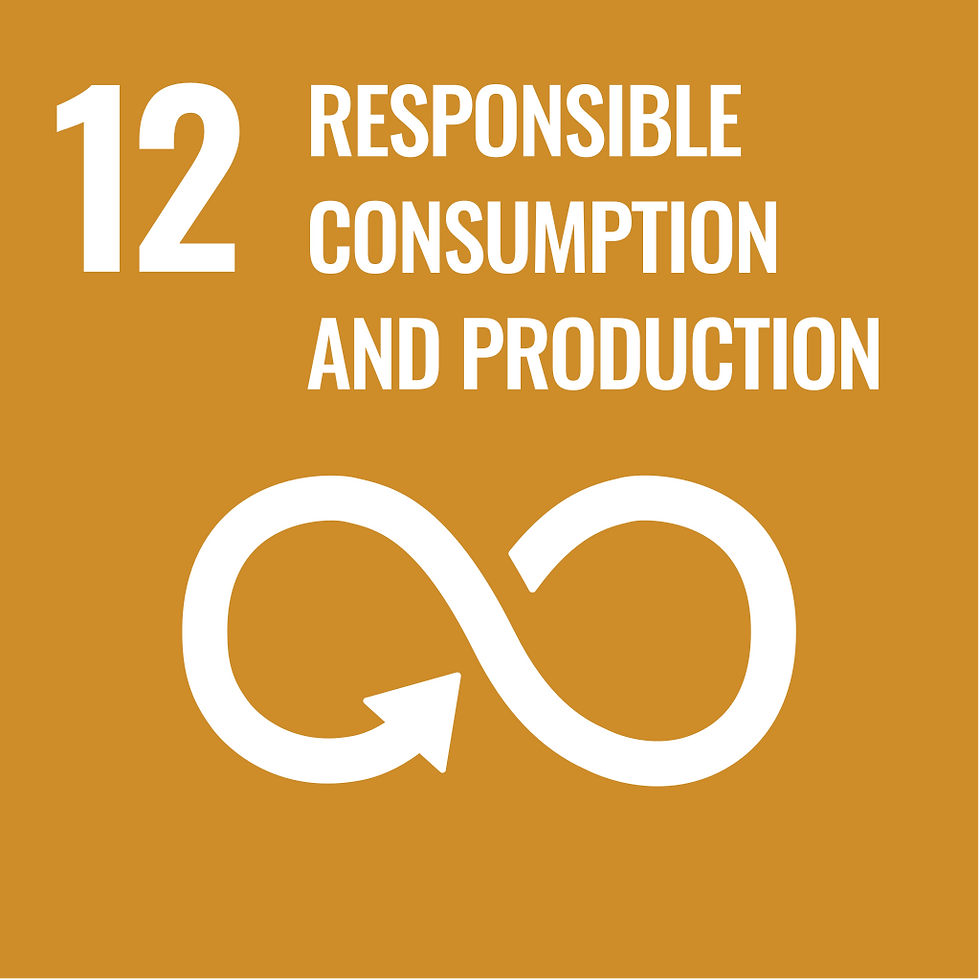 SDG 12.svg.png