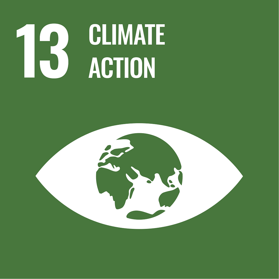 SDG 13.svg.png