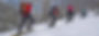 snowshoeing.jpg