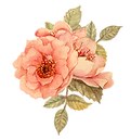 08_edited.png