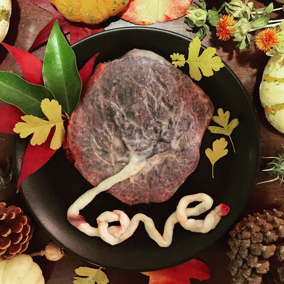 Fall Placenta