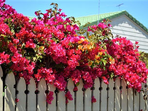 Progressive Church Women of Queensland