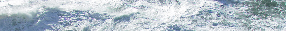 FD-2026-strip.jpg