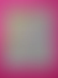 Note Card 4/3 - Solving Equations with Bags & Coins